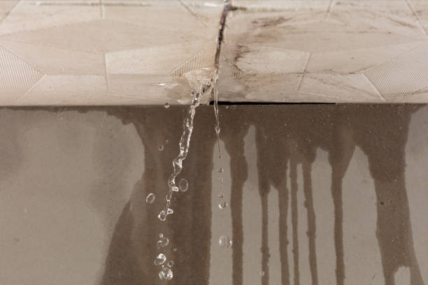 Professional Structural Drying technician working in Montreat, NC